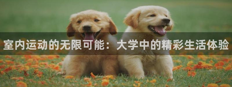 杏运平台注册
