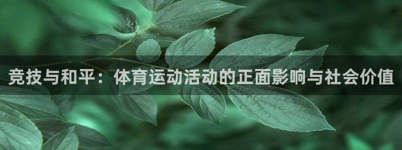 杏运能源