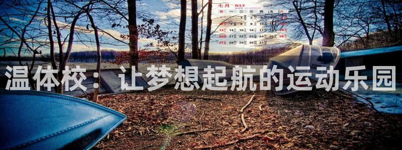 杏运体育f开号