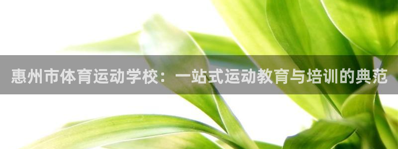 杏运注册