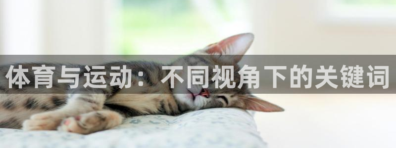 杏运体育f开户