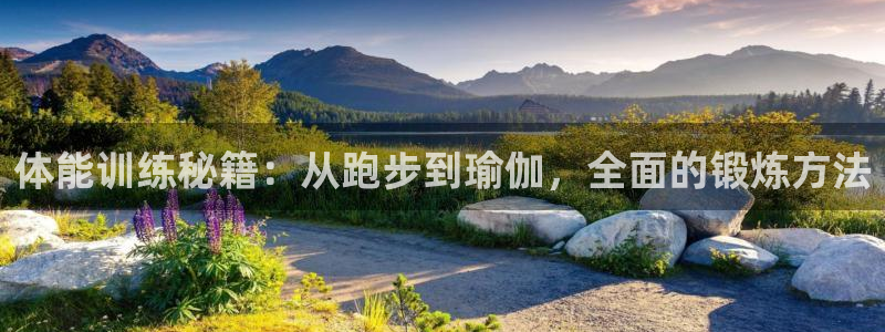 杏运礼盒