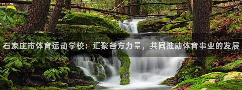 杏运娱乐登录