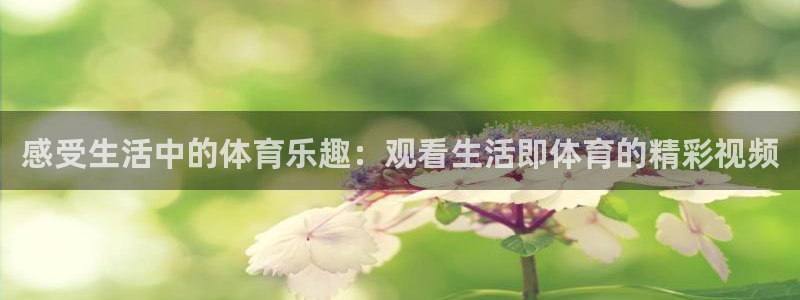 杏运vk