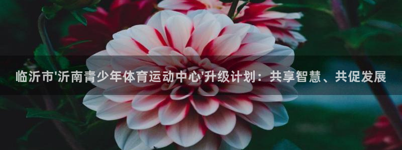 杏运3登陆