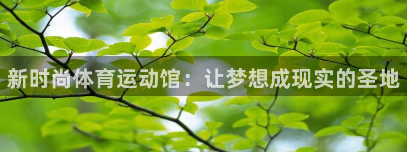 杏运体育平台总代理