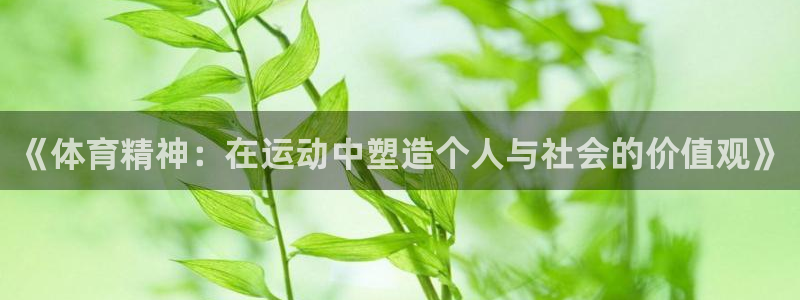 杏运代理注册官网入口