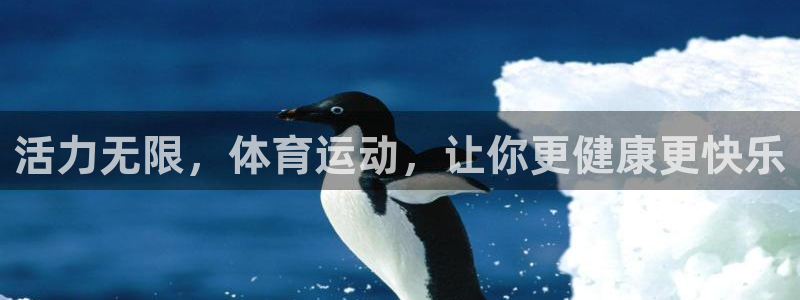 杏运体育凯捷平台代理