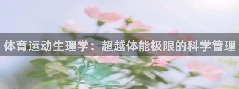 杏运体育和杏耀是哪个公司的