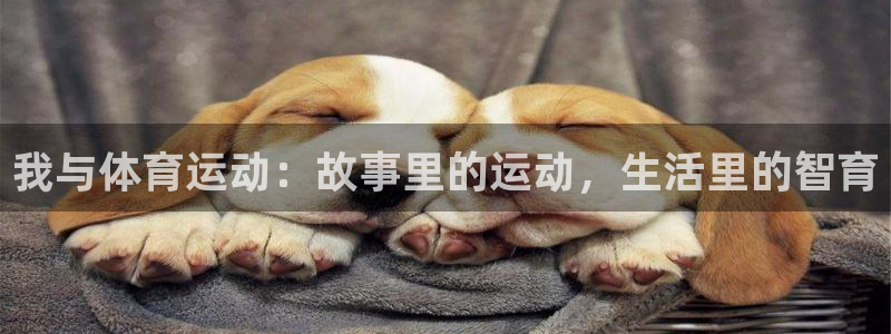 杏运体育在线注册