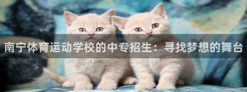 杏运3平台登录注册