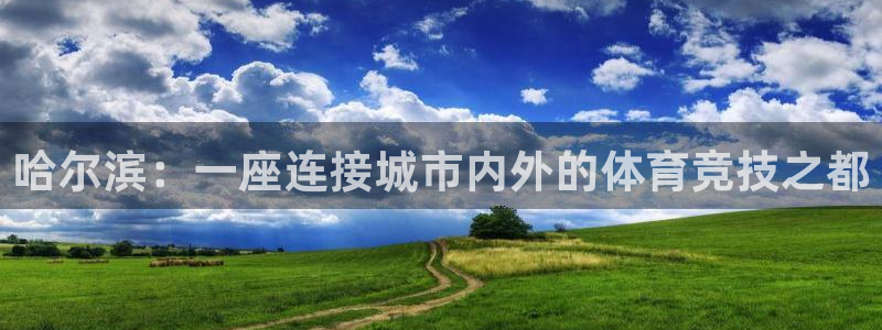 杏运新能源汽车可以上牌吗