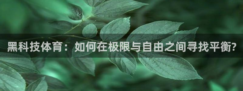 杏运电动汽车多少钱一辆