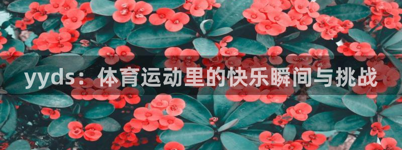 杏运达贝怎么吃