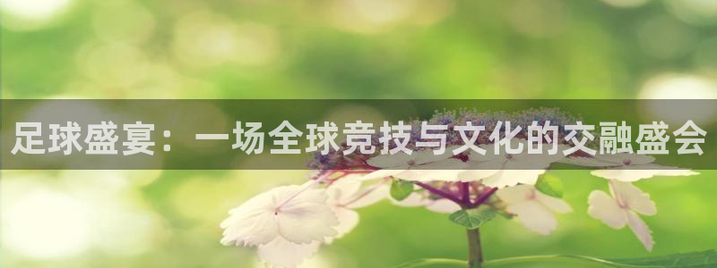 杏运电子有限公司